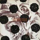 Adrian Borland And The Citizens* ‎– Brittle Heaven