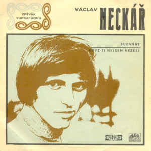 Suzanne / Když Ti Nejsem Hezkej