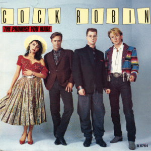 The Promise You Made